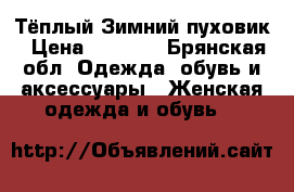Тёплый Зимний пуховик › Цена ­ 5 000 - Брянская обл. Одежда, обувь и аксессуары » Женская одежда и обувь   